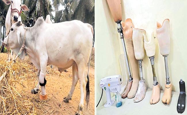 How The Andhra Man With Calipers Helping Amputees Get On Feet With His