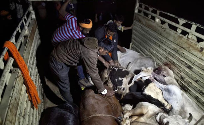 BJP Worker Killed By Cow Vigilantes