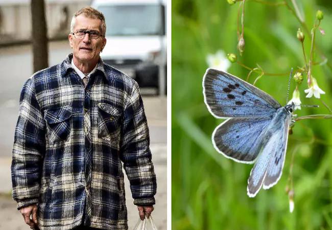 man-charged-with-killing-rarest-butterfly-in-uk