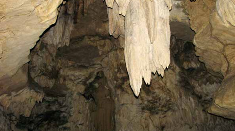 Limestone Caves in Baratang Island of Andaman Archipelago