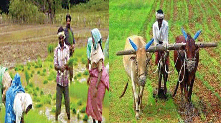 Tenant Farmers Are Eligible For YSR Rythu Bharosa Scheme: AP Govt