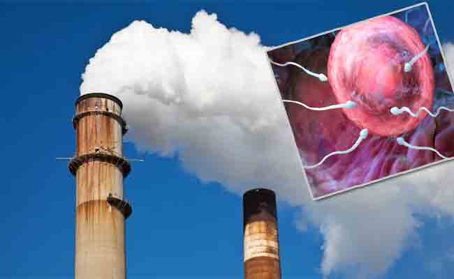 Does Air Pollution Affect Male Fertility And Semen Quality