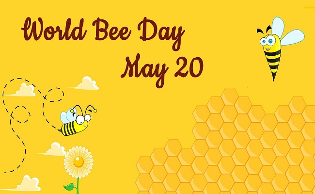 World Bee Day 2022: Theme, History, and Significance