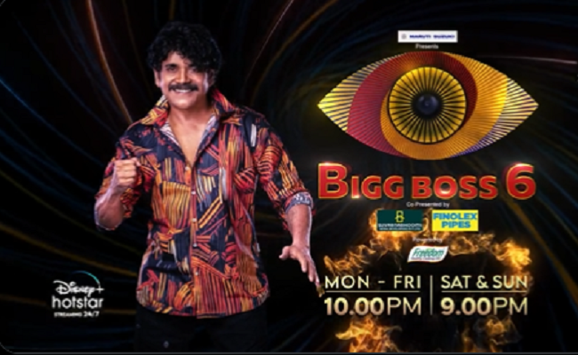 Bigg Boss Telugu 6 Eliminated Contestants List