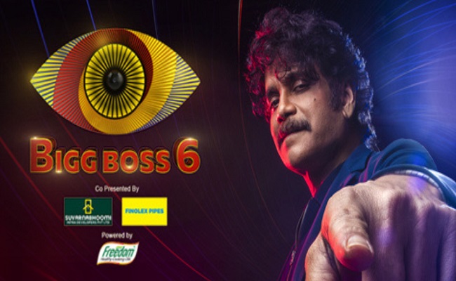 Bigg Boss Telugu Season 6 Predicted Winner And Runner Up In Week 14