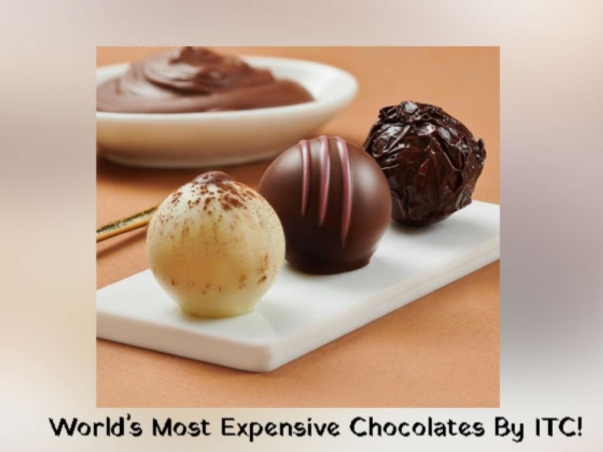 The Most Expensive Chocolates in the World : r/chocolate