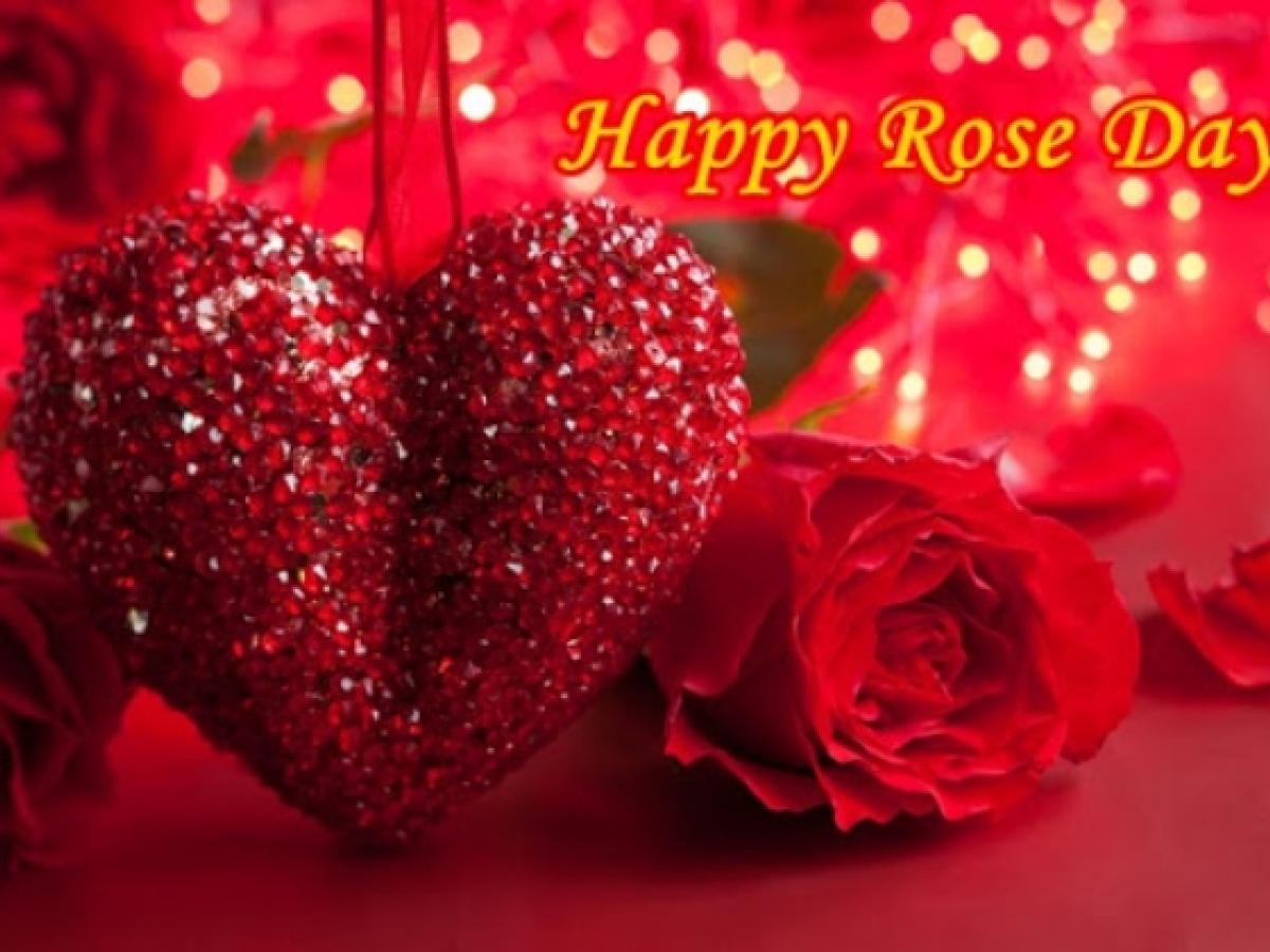 Happy Rose Day 2021: Wishes, Quotes, WhatsApp Images, Facebook ...