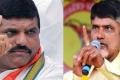 &#039;Even Chandrababu&#039;s &#039;jejamma&#039; can&#039;t harm Cong&#039; - Sakshi Post