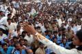 YSRCP celebrates 2nd year anniversary - Sakshi Post