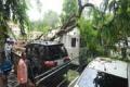 Tree falls in Secretariat, Kiran Kumar Reddy escapes - Sakshi Post