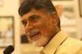 Is Chandrababu Naidu frustrated? - Sakshi Post