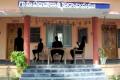 Panchayat office used for prostitution, TDP Sarpanch arrested - Sakshi Post