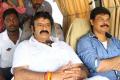 Balayya not to contest ? - Sakshi Post