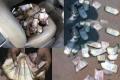 Innova car engine carries Rs 2.5 crore, notes burnt in Nalgonda - Sakshi Post