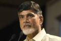 Will Chandrababu at least retain Kuppam? - Sakshi Post