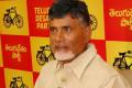 TDP chief Chandrababu to take oath as new AP CM on Sunday - Sakshi Post