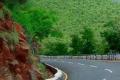 TTD official killed on Tirumala Ghat Road - Sakshi Post