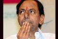 KCR serious on decision of EAMCET committee - Sakshi Post