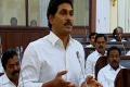 YSRCP demands debate on law and order in AP - Sakshi Post