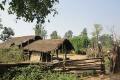 Primitive tribes still survive on forest animals in Telangana - Sakshi Post