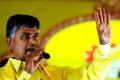 Babu&#039;s flip-flop: Farm loan &#039;Vimukti&#039; not waiver - Sakshi Post