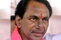 KCR visits ailing Nayani - Sakshi Post