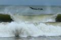 Hudhud effect: Andhra evacuates 4 lakh people as cyclone nears - Sakshi Post