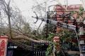 Relief operations in full swing in cyclone-hit Andhra - Sakshi Post