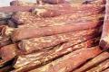 15 held for redsanders smuggling - Sakshi Post