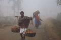 Cold wave conditions continue in Telangana, Andhra - Sakshi Post