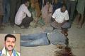 YSRCP youth leader dies in road mishap - Sakshi Post