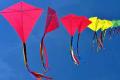 Sankranti to be a grand, 3-day affair in AP, Telangana - Sakshi Post