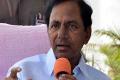 KCR asks officials to take steps for protection of park - Sakshi Post