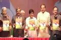 BJP releases vision document for Delhi polls - Sakshi Post