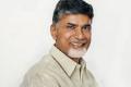 Chandrababu Naidus&#039;  65 Birtday celebrations - Sakshi Post