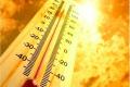 Heat wave kills 427 people in Telugu states - Sakshi Post