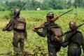 Three Maoists killed in encounter on Telangana-C&#039;garh border - Sakshi Post