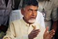 Murder Politics Won&#039;t Be Tolerated: Chandrababu - Sakshi Post