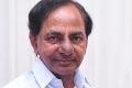 KCR to campaign in Warangal bypoll today - Sakshi Post