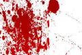 Man Kills Sister&#039;s Husband - Sakshi Post