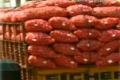 Onion Price Falls to Rs4/kg, Brings Tears to Farmers - Sakshi Post