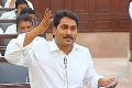 YSRCP Supports Assembly Resolution on AP Special Status - Sakshi Post