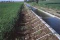 TS to take help of Chinese firms for irrigation projects - Sakshi Post