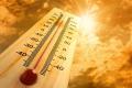 TS records 50 degrees temperature in Manuguru - Sakshi Post