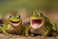 male frogs - Sakshi Post