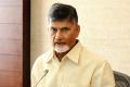 Andhra Pradesh Chief Minister N Chandrababu Naidu - Sakshi Post