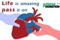 August 13 is observed as Organ Donation Day - Sakshi Post