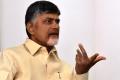 AP Chief Minister N Chandrababu Naidu - Sakshi Post