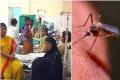 Fever Hospital alone has confirmed 76 cases in October - Sakshi Post