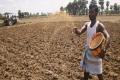 Farmers can purchase seeds from state-owned outlets - Sakshi Post